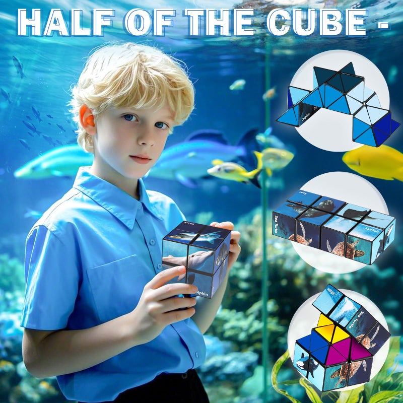 Euclidean Cube Star Cube Magic Cube Set, 2 in 1 Yoshimoto Cube for Kids and Adults, Toys for Boys and Girls Ages 8-12 - Image 3